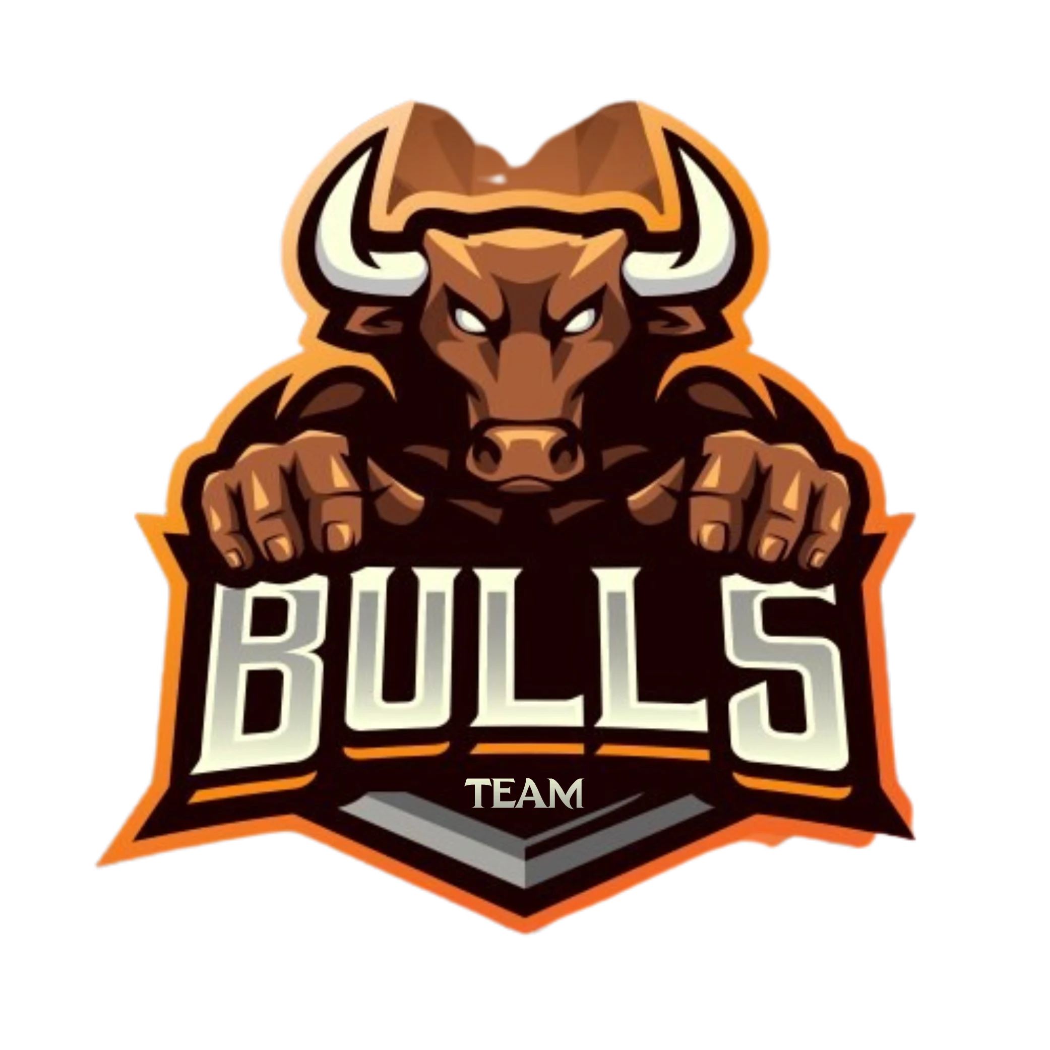 Team Bull